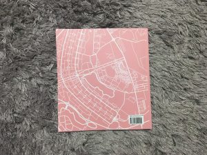 Catálogo Mapa Design Brasilia - Hudson Araujo